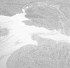 ONR_NEG_A-Z_img_032304_thumb.gif