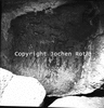 roth_brandberg_img_035162_thumb.gif