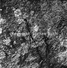 roth_brandberg_img_035165_thumb.gif