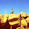 roth_brandberg_img_035167_thumb.gif