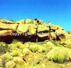 roth_brandberg_img_035168_thumb.gif