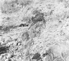 roth_brandberg_img_035262_thumb.gif