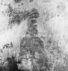 roth_brandberg_img_035267_thumb.gif