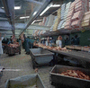ONR_NEG_VLEISSEN_img_037323_thumb.gif