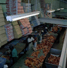 ONR_NEG_VLEISSEN_img_037325_thumb.gif