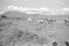 ONR_L-1280-51_30940_img_000940_thumb.gif