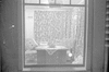 ONR_L-1287-51_30867_img_000867_thumb.gif