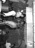 ONR_NEG_HER_31824_img_001824_thumb.gif