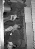 ONR_NEG_HER_31825_img_001825_thumb.gif