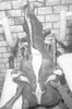 ONR_NEG_FCU_img_032520_thumb.gif