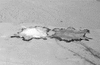 ONR_NEG_FCU_img_032528_thumb.gif