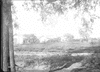 ONR_NEG_MUSEUM_img_038000_thumb.gif