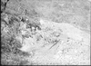 ONR_NEG_MUSEUM_img_038001_thumb.gif