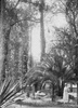 ONR_NEG_MUSEUM_img_038009_thumb.gif