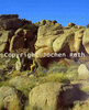 roth_brandberg_img_035171_thumb.gif