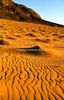 NAN_SLI_SCHOEDDER_img_042311_thumb.gif