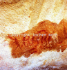 roth_brandberg_img_035174_thumb.gif