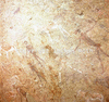 roth_brandberg_img_035175_thumb.gif