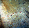 roth_brandberg_img_035176_thumb.gif