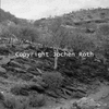 roth_namib_img_035232_thumb.gif