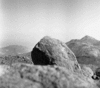 roth_brandberg_img_035470_thumb.gif