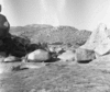 roth_brandberg_img_035476_thumb.gif