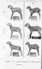 ONR_NEG_NEUDAMM_img_033424_thumb.gif
