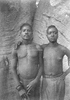 Stolze_print_img_032453_thumb.gif