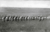 Stolze_print_img_032467_thumb.gif