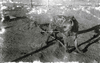 Stolze_print_img_032486_thumb.gif