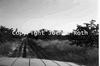 roth_kaoko_img_035345_thumb.gif