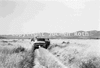 roth_kaoko_img_035375_thumb.gif