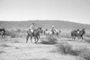 ONR_L-0977-47_30295_img_000295_thumb.gif