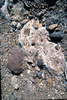 NAN_SLI_SCHOEDDER_img_042348_thumb.gif