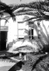 NAN_NEG_SCHOEDDER_img_042642_thumb.gif