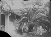 ONR_NEG_MUSEUM_img_038011_thumb.gif