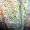 roth_brandberg_img_035188_thumb.gif