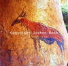 roth_brandberg_img_035189_thumb.gif