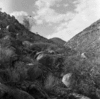 roth_brandberg_img_035483_thumb.gif