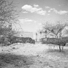 roth_gen_whk_31237_img_001237_thumb.gif