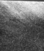 roth_brandberg_img_035484_thumb.gif