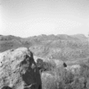 roth_brandberg_img_035485_thumb.gif