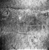 roth_brandberg_img_035487_thumb.gif