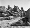 roth_brandberg_img_035488_thumb.gif