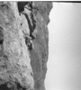 roth_brandberg_img_035489_thumb.gif