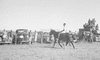 ONR_L-1146-49_31495_img_001495_thumb.gif