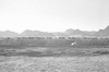 ONR_L-1166-49_30297_img_000297_thumb.gif
