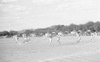 ONR_L-1154-49_30445_img_000445_thumb.gif