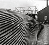 NAN_NEG_LUMUSEUM_img_043008_thumb.gif