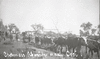 CHN_NEG_HAHN_img_043064_thumb.gif